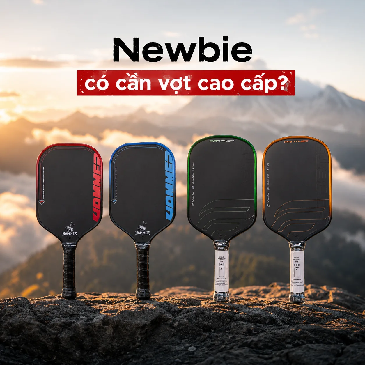 Người Mới Chơi Pickleball Có Cần Vợt Cao Cấp? 🤔 Lời Khuyên Từ Chuyên Gia! - anh 1